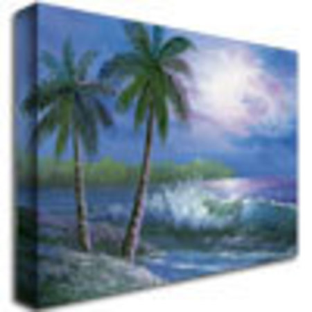 Trademark Fine Art Rio 'Moonlight in Key Largo' Canvas Art, 24x32 MA0185-C2432GG